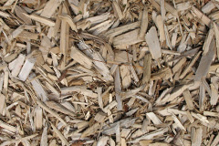 biomass boilers Tytherleigh